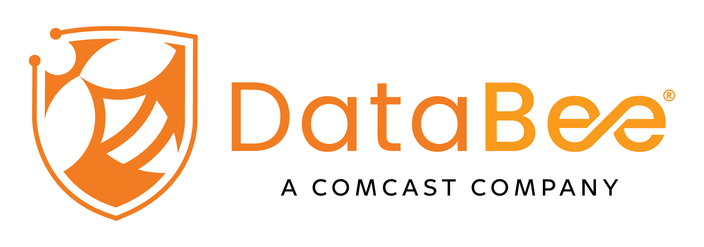 Databee security data fabric platform - Oleksandr Khomin's backend optimization work